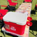 秋ヶ瀬公園BBQ場の有料エリアで使用できる赤くておしゃれなクーラーボックス