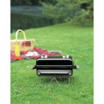 秋ヶ瀬公園BBQ場の有料エリアで使用できるWeberゴーエニィウェアーグリル