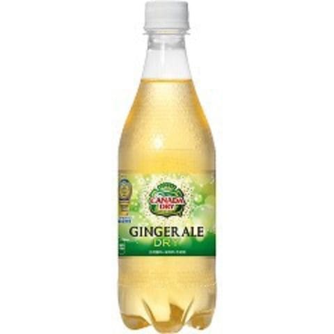 ジンジャーエール 500ml