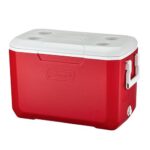 秋ヶ瀬公園BBQ場の有料エリアで使用できるクーラーボックス 45L