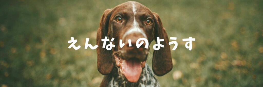 秋ヶ瀬公園BBQガーデンの様子～♪