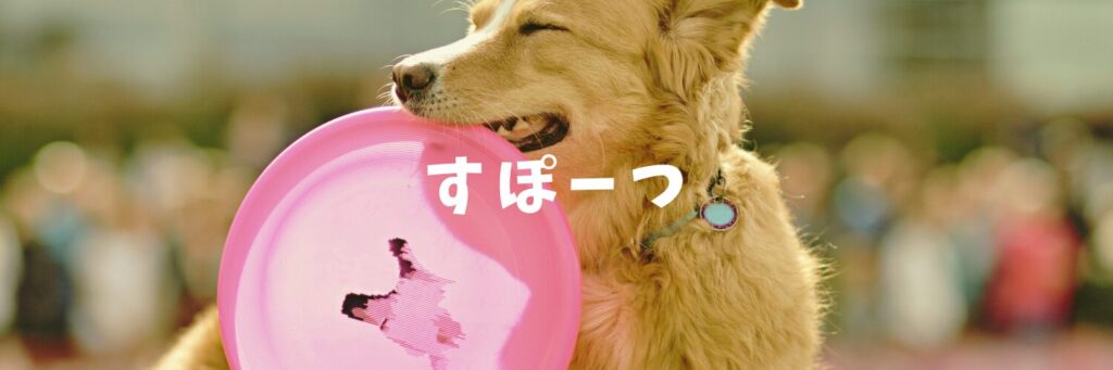 秋ヶ瀬のスポーツ施設のご紹介♪