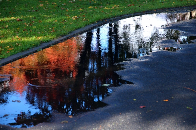 【雨予報で迷ったら】「決行orキャンセル」判断ガイド
