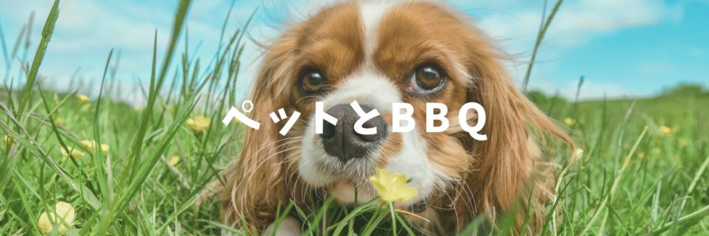 秋ヶ瀬公園でペットと一緒に🐶