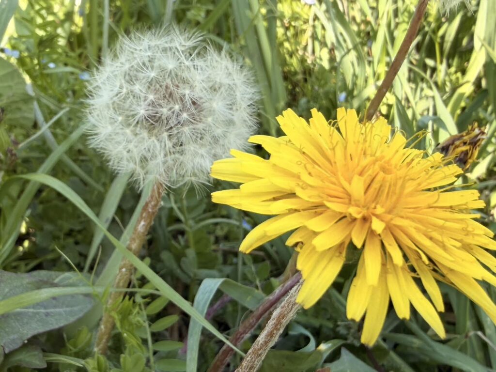 秋ヶ瀬BBQガーデンはこんなところ☆彡