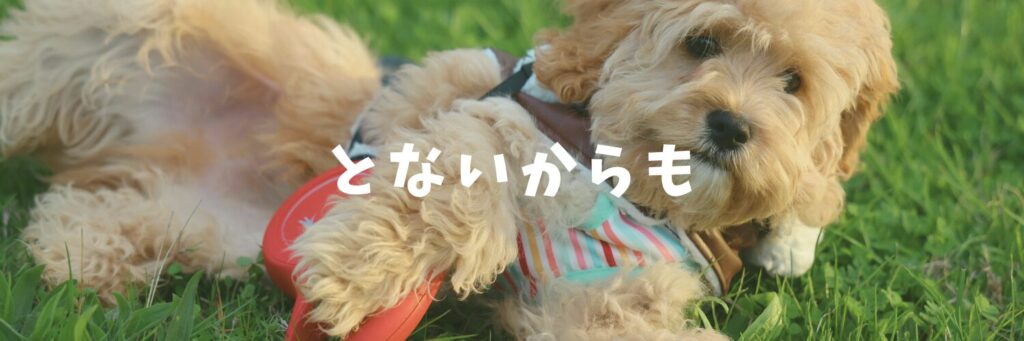 BBQって「焼いて食べるだけ」じゃないんです♡