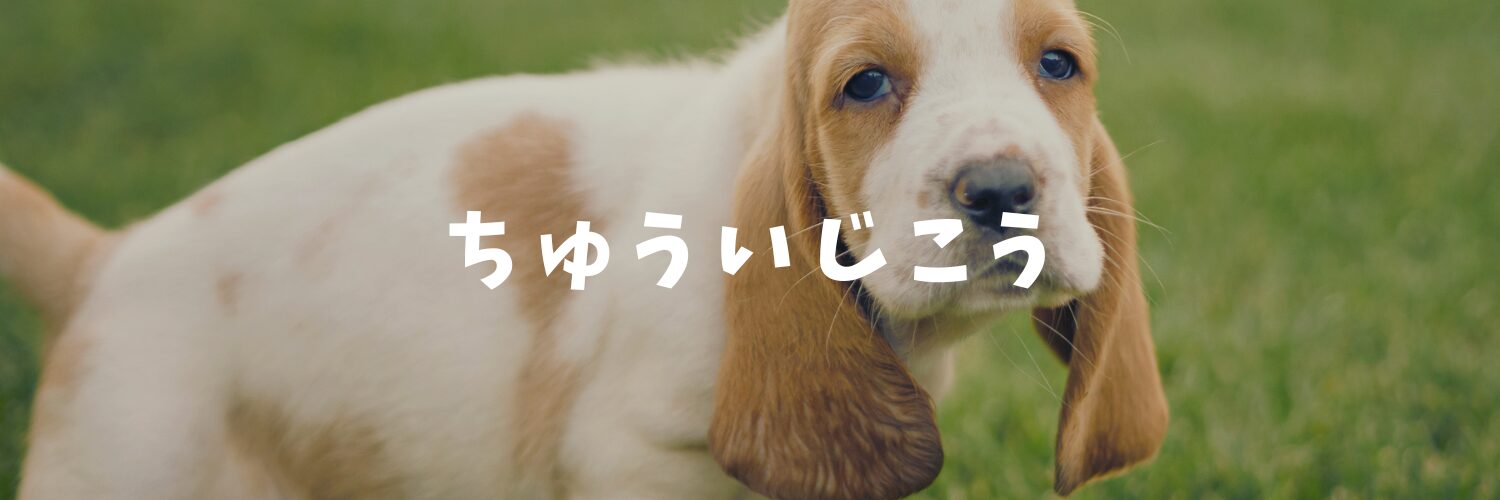 秋ヶ瀬公園BBQガーデンをご利用のお客様へ