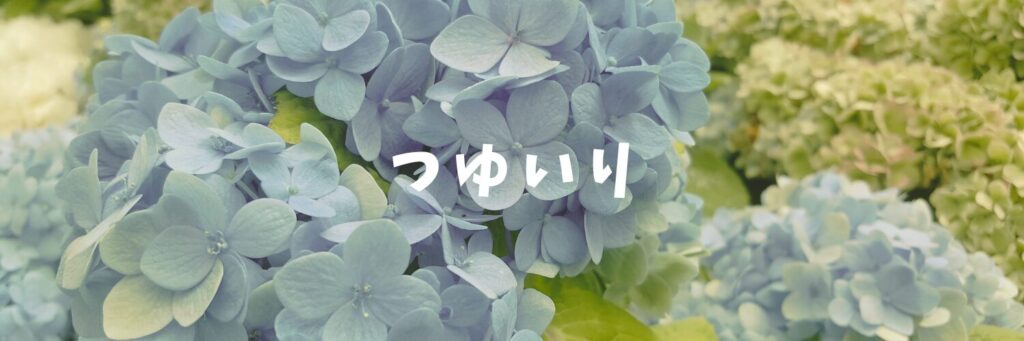 梅雨入り☂