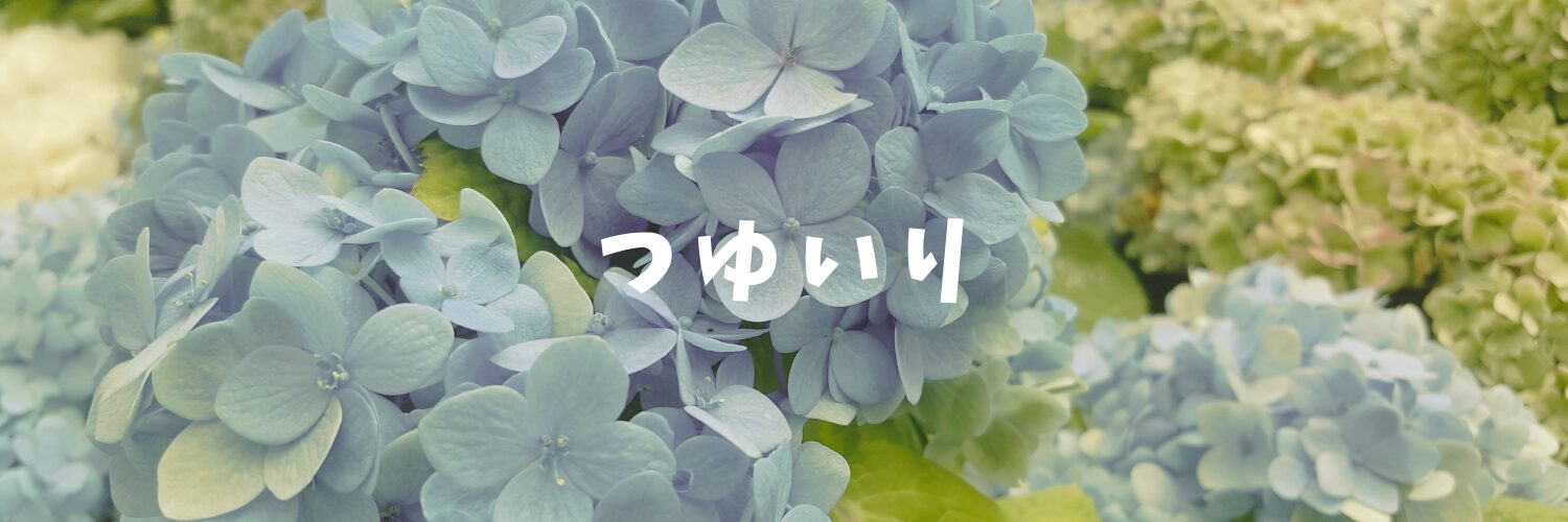 梅雨入り☂