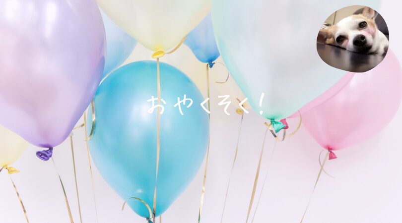 質問コーナー✨