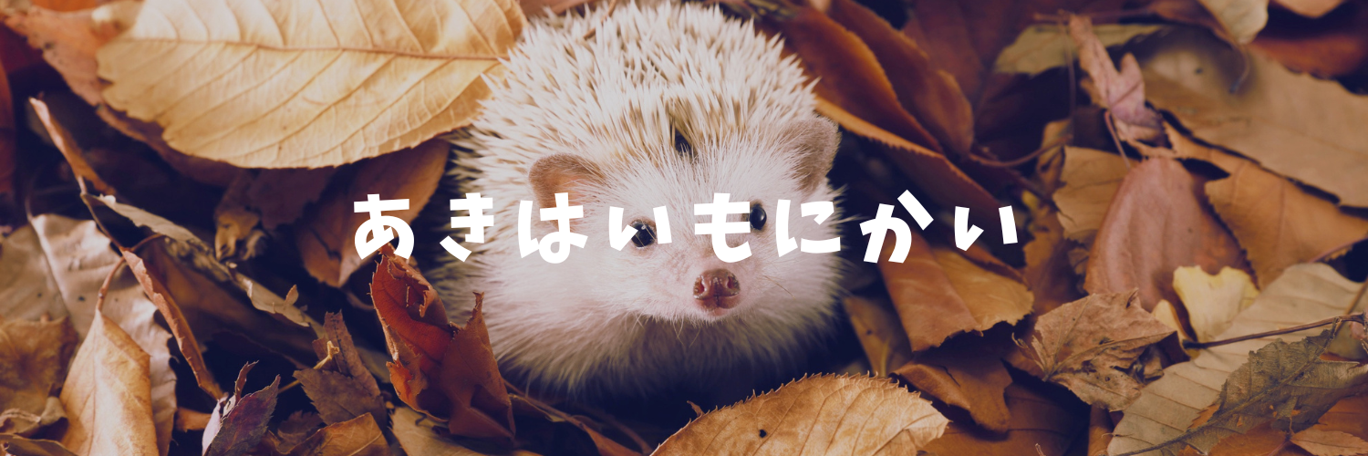 まだ暑いけど、秋は芋煮会がおすすめ！秋ヶ瀬公園で楽しむあったか芋煮会