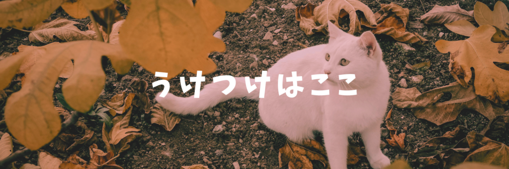 受付はどこ？迷ったらGoogleマップで検索！