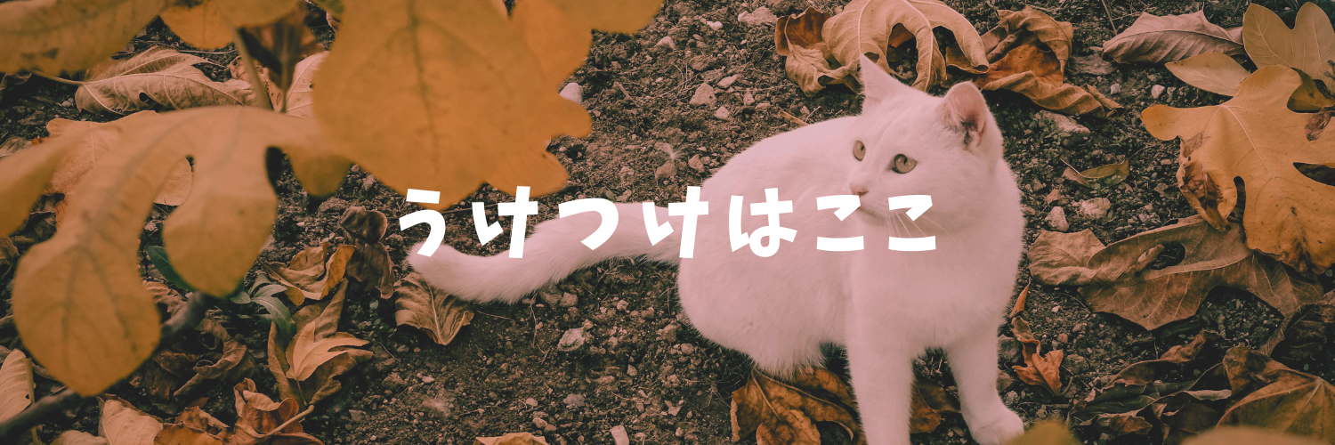 受付はどこ？迷ったらGoogleマップで検索！